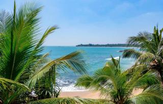 Eleven 11 resort - Tangalle - 7
