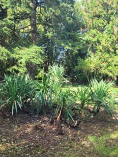 Château de la Rucquetière - 3