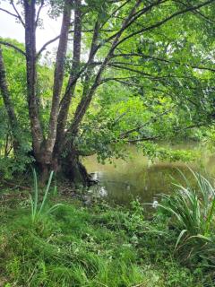 Château de la Rucquetière - 2
