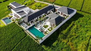 Nayanika 5 BR Private Pool Villa with Ricefield view CYN - Darmasaba - 4