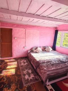 Mudhouse Cottage in Apple Orchard - Sainj Valley - 3