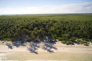Libelula Tulum Beachfront Hotel - 7