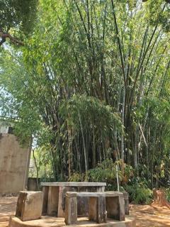 Villa Landy - Ambohibato - 6
