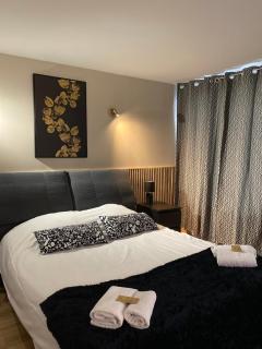 Hôtel des Beaux Arts - Chambéry - 6
