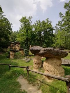 Il Boschetto della Valle Maira - 3