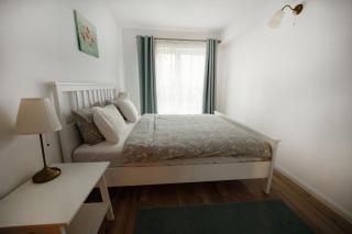 4 Bedroom Ap - Braşov - 5