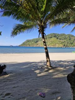 White Hat EL NIDO - 6