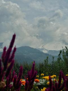 Aangan Homes by Mid Orchard - 4