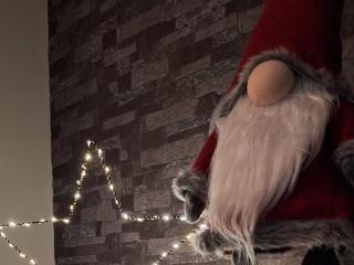 Villa Santa's Neighbor in Rovaniemi - 2