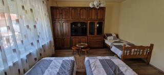 Guesthouse Stojanović - Negotin - 4
