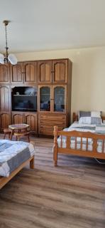 Guesthouse Stojanović - Negotin - 3