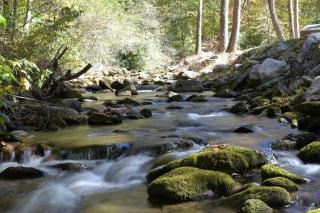 Firefly Creek Cabin in Nantahala - Andrews - 3