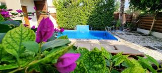 Shanti Paphos Villa - Paphos - 4