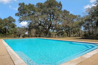 Live Oak Ranch - Spring Branch - 0