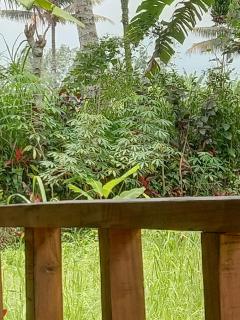Banana Bungalows Tetebatu - Tetebatu - 5
