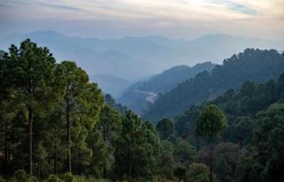 The Himalyan Mansion I Three Bedroom Villa I Family Groups & Night Bonfire I Kasauli By Exotic Stays - Kasauli - 8