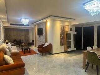 شقة فاخرة في شارع المنيل برج 12 - Il Cairo - 7