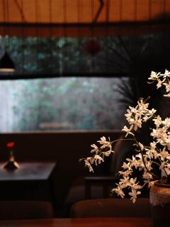 Chuanxing Yinli Hotel Chengdu Kuanzhai Alley Branch, with free welcome wine and afternoon tea - Chengdu - 2
