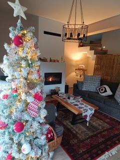 Stellas guesthouse near Arachova - 8