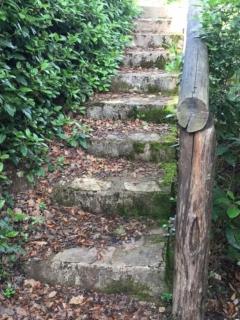 luxury villa in centre of tuscany - 1