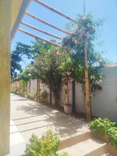 Temporada em Itamaracá - 7