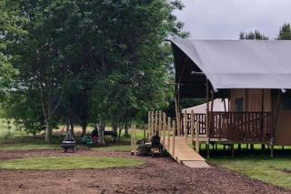 Marabou Safari Lodge - 5