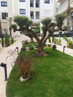 Olfa cosy appart - 7