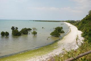 Perfect Beach Villa In Bagamoyo - Bagamoyo - 6