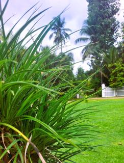 Tamarind Villa - Kelaniya - 8