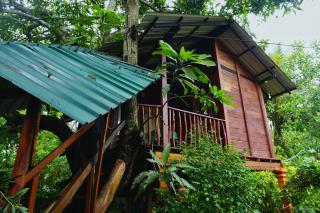 Sigiri Sky Home & TreeHouse - 2