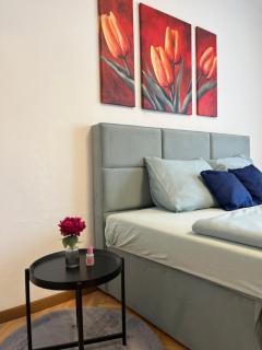 Gemütliche Stadtwohnung Leoben, Gratis Parkplätze - 3