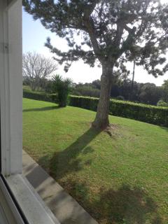 Casa Branca - Lagoa - 9