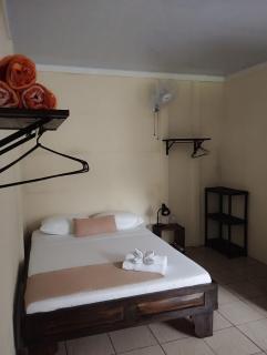 Natural House - Tortuguero - 7
