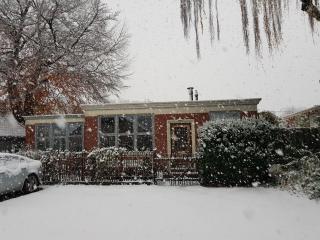 Onder de Beukenboom - 0