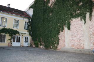 Sina's Boutique Apartment #0 - Sibiu - 4