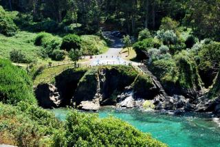 O REMANSO do CORGO - 5