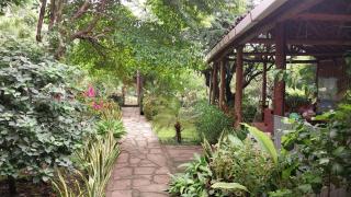 Casa Todo Bueno - El Tránsito - 9