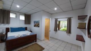 Casa Todo Bueno - El Tránsito - 5