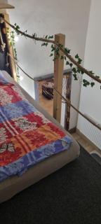 Apartman Ambrak č.3 - Martin - 2