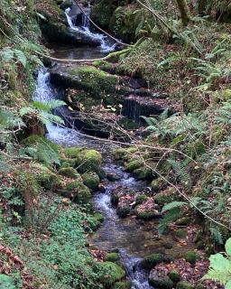 Casa rural Espinareu - 9