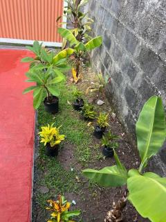 Havai house - Uturoa - 2