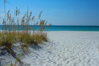 Sand Dollar W-103 - Pensacola Beach - 8