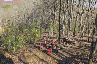 Timber Ridge Retreat - Blue Ridge - 8