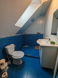 Brasov Cucu Residence - Braşov - 7