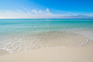 Majestic Beach Towers 2-603 - Panama City Beach - 8