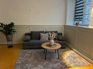 Altbau Charme in der Nürnberger Innenstadt - Nuremberg - 9