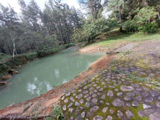 Mandalas Ecolodge Ecotourismo Altos Cerro Azul, Rain Forest Natural,Chagres National Park - 6