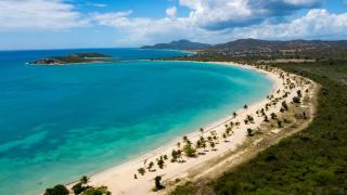 MI CASA-SU CASA GLAMPING CAMPSITE -65 -Special Offer Cash-Paypal-10ft Tent-Rental- Shadowed Fruit Trees -Cozy- Secret Garden Forest w Queen-Inflatable-Bed Linen-towel-Fan -5 Minutes Walk to JAK BIOBAY TOUR, Restaurants-Esperanza-Sun-Bay-Black Sand Beaches - Vieques - 1