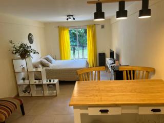 Monoambiente centro Bariloche - 2