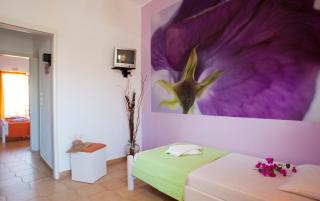 Nikolas Suites - 6